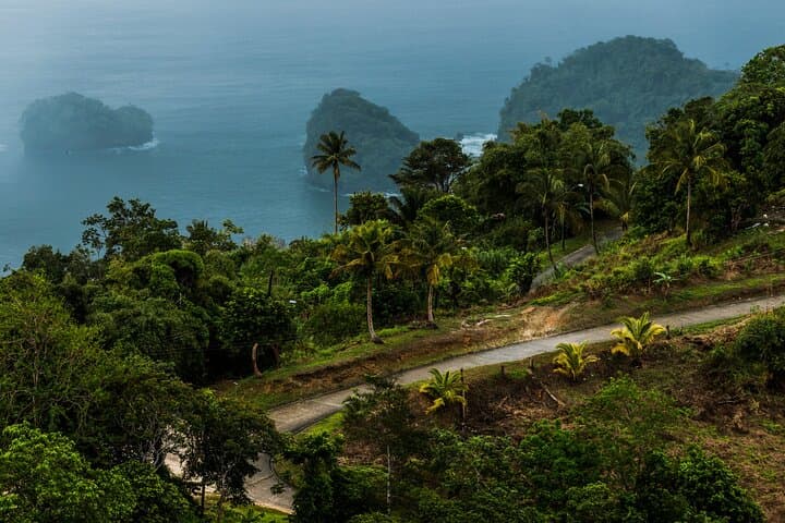Private Rainforest & Argyle Falls Tour from Tobago — Main Ridge Forest Reserve Excursion