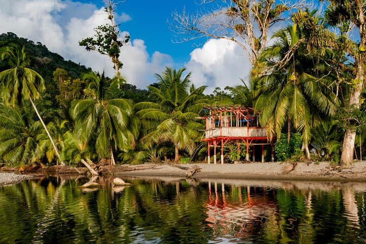 Private Rainforest & Argyle Falls Tour from Tobago — Main Ridge Forest Reserve Excursion photo 2