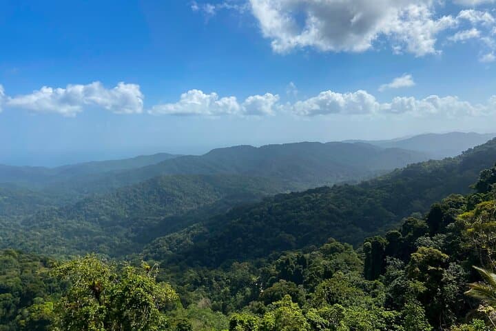 Private Rainforest & Argyle Falls Tour from Tobago — Main Ridge Forest Reserve Excursion photo 5