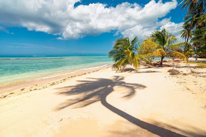 Private Full-Island Tour of Tobago: Fort King George, Cocoa Estate & Pink Sand Beaches photo 2