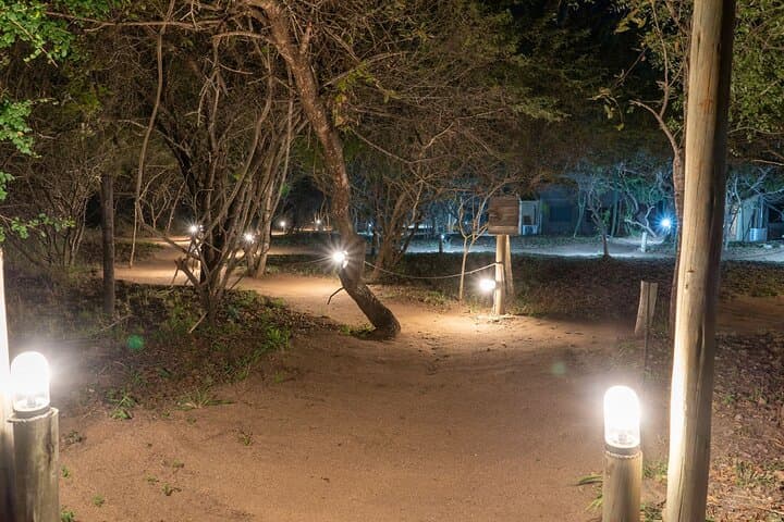 3-Day Dumela Tented Camp Safari in Kruger National Park photo 4