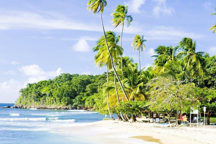 Mount Irvine Bay Private Tour: Surf, Snorkel & Coastal Culture in Tobago