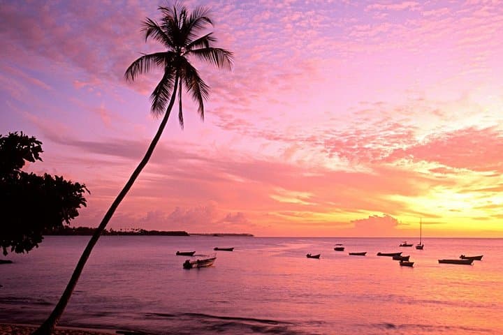 Mount Irvine Bay Private Tour: Surf, Snorkel & Coastal Culture in Tobago photo 2