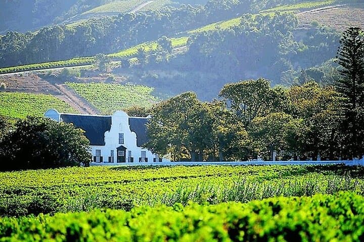 Private Cape Winelands Wine Tasting: Stellenbosch & Franschhoek Day Tour from Cape Town photo 4