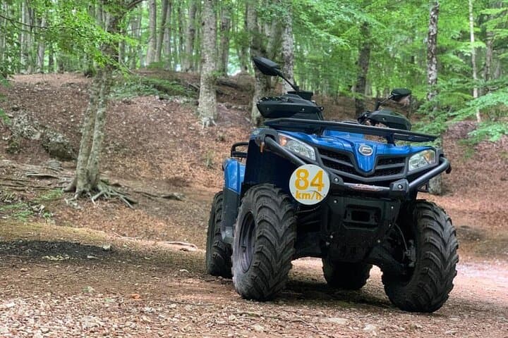 Mount Faito ATV Quad Tour from Sorrento — Coastal Vistas & Faito Beech Forest Trails photo 3