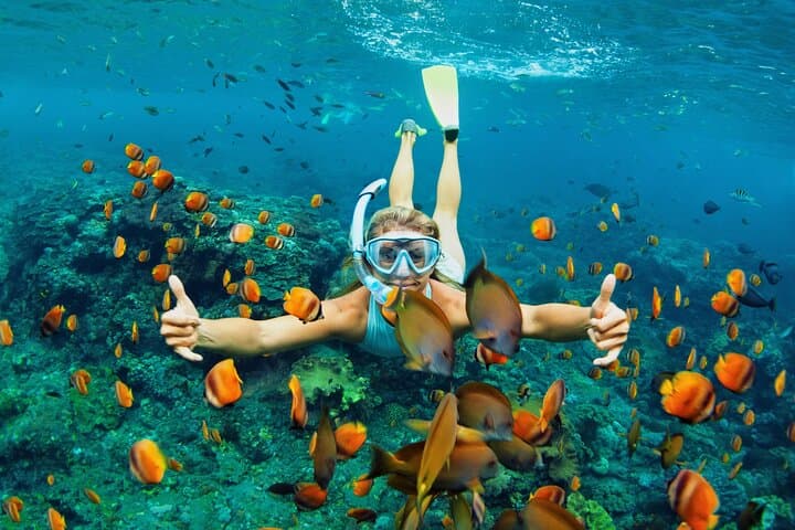 Private Catamaran Snorkel & Dive Day from Grande Anse d'Arlet, Martinique photo 5