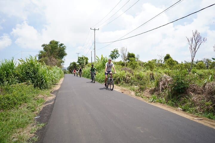 Explore Ubud by Electric Bike: Tegallalang Rice Terraces & Village Ride photo 5