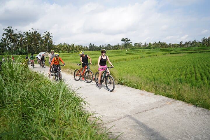 Explore Ubud by Electric Bike: Tegallalang Rice Terraces & Village Ride photo 6