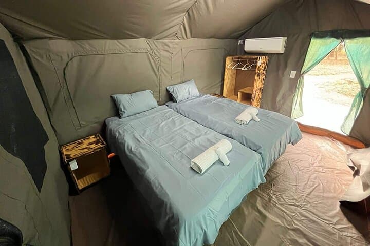 4-Day Dumela Tented Camp: Kruger Glamping & Big Five Safaris photo 5