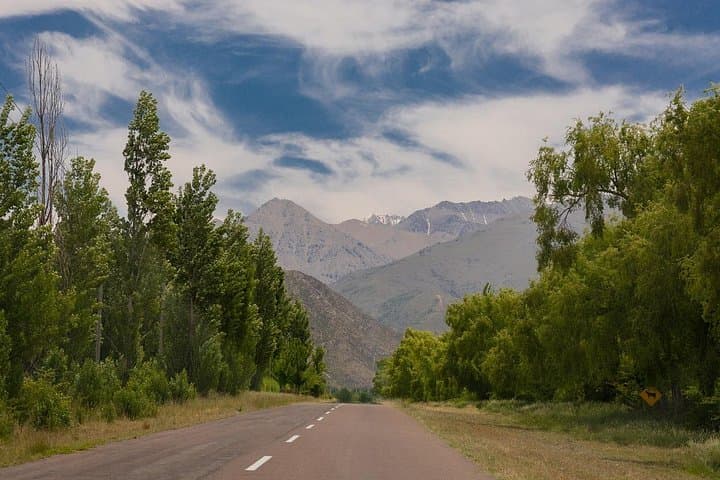 Full-Day Private Uco Valley Wine Tour from Mendoza — Wineries, Tastings & Gourmet Lunch