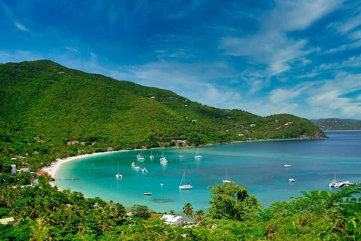 Private Art & Culture Tour in Tortola — Jenesis Studios & Pottery Garden photo 2