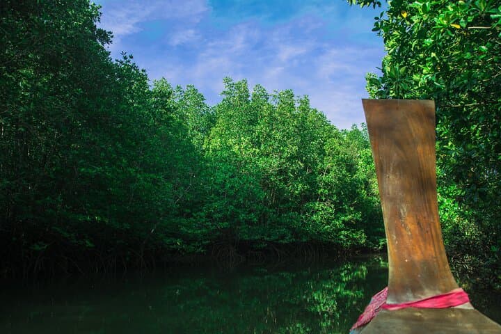 Magic Mangrove Paddle: Private Kayak & SUP Tour in Beef Island Lagoon