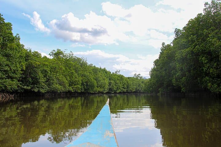 Private Mount Healthy National Park Tour - Tortola Rainforest, Springs & Coastal Views photo 6