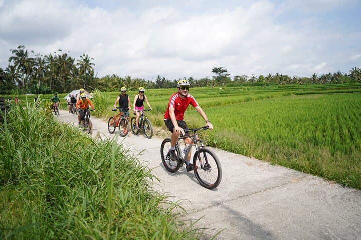 Ubud Electric Bike & Tegallalang Swing Adventure — Rice Terraces, Temples & Coffee photo 1