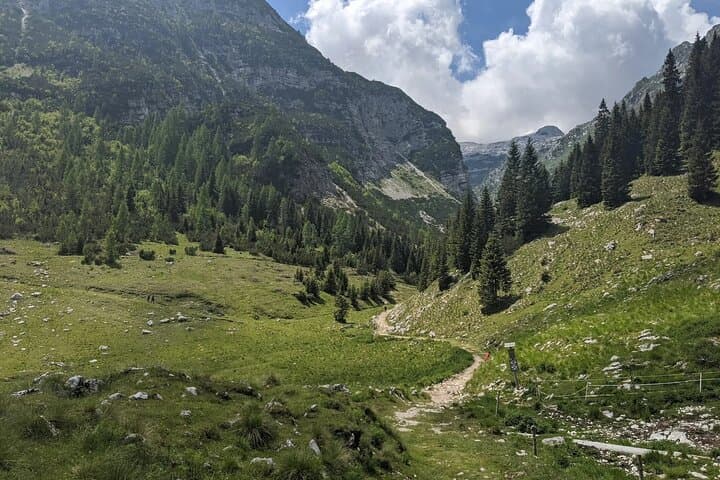 Viševnik Viewpoint Hike from Bled — Triglav National Park Day Hike photo 5