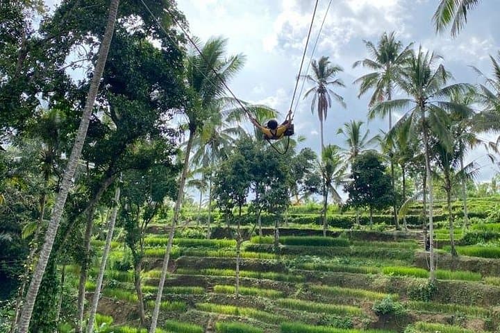 Ubud Electric Bike & Tegallalang Swing Adventure — Rice Terraces, Temples & Coffee photo 3