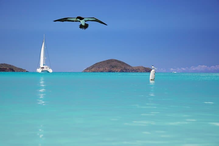 Private Sail to Virgin Islands National Park from St. Thomas | Snorkel & Beach Day photo 5