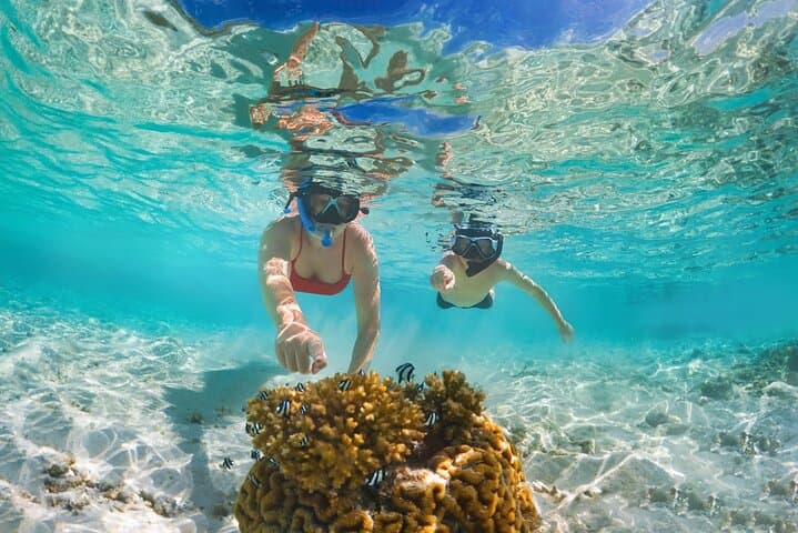 Sail and Snorkel Les Saintes: Private Day Charter from Guadeloupe photo 3