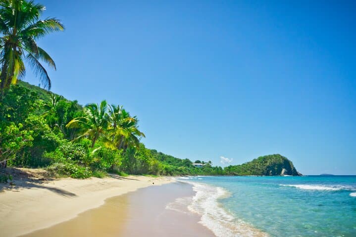 Private Mount Healthy National Park Tour - Tortola Rainforest, Springs & Coastal Views