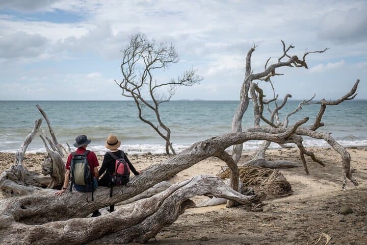 Private Mount Healthy National Park Tour - Tortola Rainforest, Springs & Coastal Views photo 2