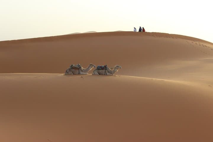 3-Day Marrakech to Sahara Tour: Dades, Todra & Merzouga Desert Camp Experience photo 2