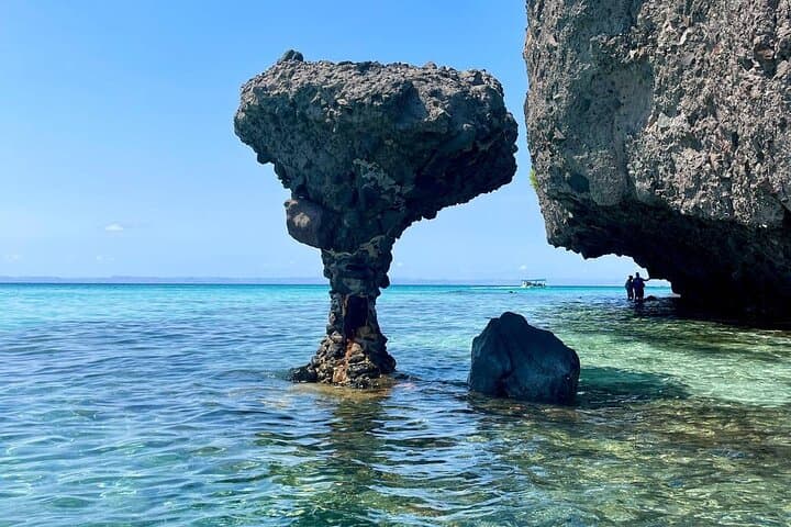 Balandra Bay Snorkeling Adventure from La Paz — Swim with Sea Lions & Explore a Protected Bay photo 2