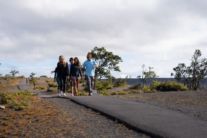Deluxe Volcano Tour from Kona: Kilauea, Black Sands & Dinner at Kilauea Lodge photo 5