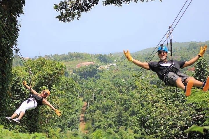 Rainforest Zipline in El Yunque Foothills — Luquillo Zipline Experience