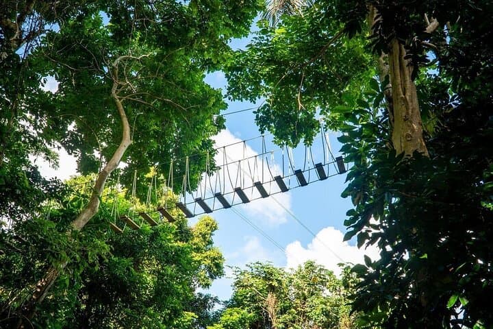 Foothills Adventure Trail Tour near Luquillo — Zipline, Rappelling & Jungle Walk photo 5