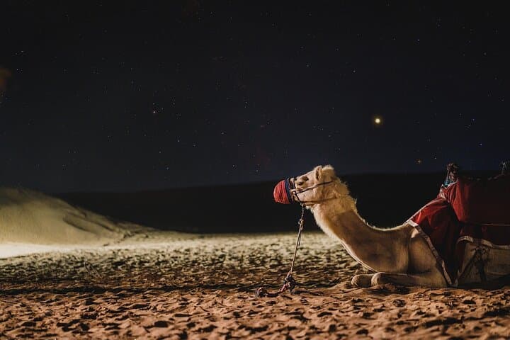 Private Transfer Abu Dhabi to Dubai — Direct Sedan or Van Between Emirates photo 4