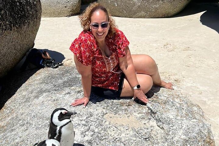 Penguin Watching & Beach Day at Boulder's Beach — Half-Day from Cape Town