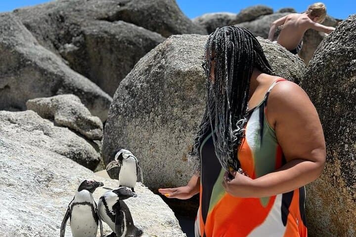 Penguin Watching & Beach Day at Boulder's Beach — Half-Day from Cape Town photo 6