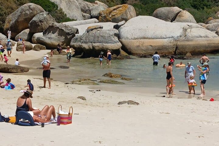 Penguin Watching & Beach Day at Boulder's Beach — Half-Day from Cape Town photo 3