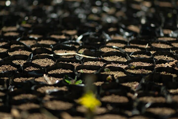 Cali Coffee Tour: Authentic Colombian Coffee Farm Experience photo 4