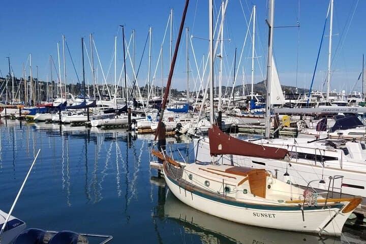 Alcatraz, Muir Woods & Sausalito Day Tour from San Francisco photo 5