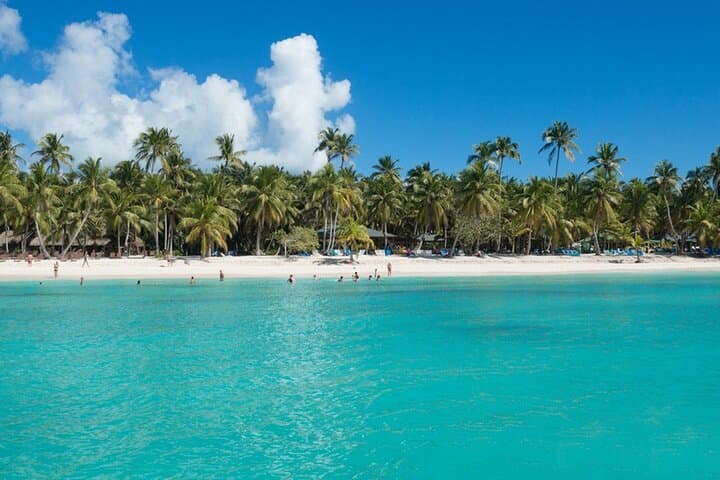 Full-Day Saona Island Excursion from Santo Domingo — Catamaran, Natural Pool & Beaches photo 2