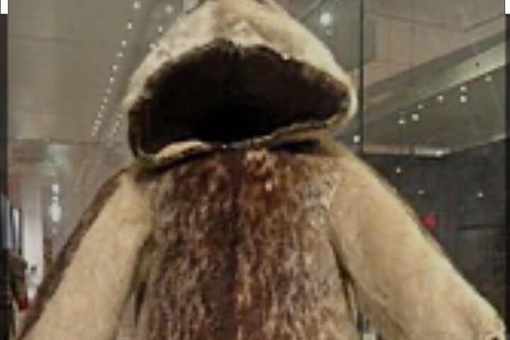 Toronto Winter Private Sightseeing Tour: CN Tower, ROM, Distillery & Kensington photo 6