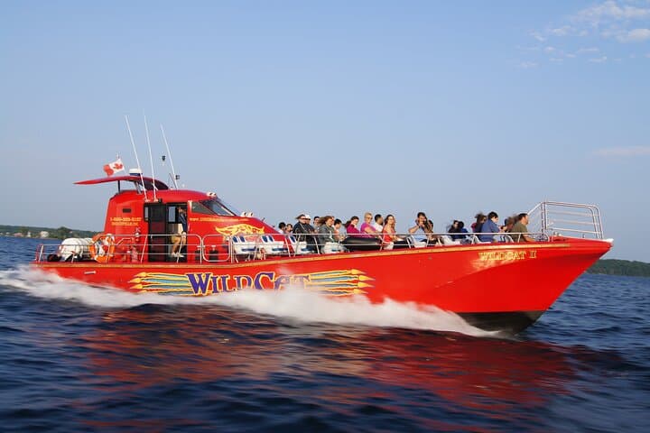 WildCat Speedboat Cruise: 1-Hour Singer Castle Express in 1000 Islands