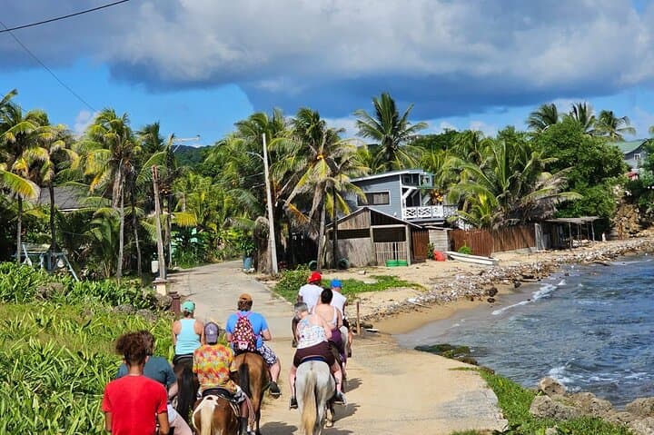 Roatan Mangrove Cruise, Horseback Ride, Snorkel & Beach Combo photo 5