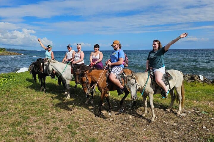 Roatan Mangrove Cruise, Horseback Ride, Snorkel & Beach Combo photo 2