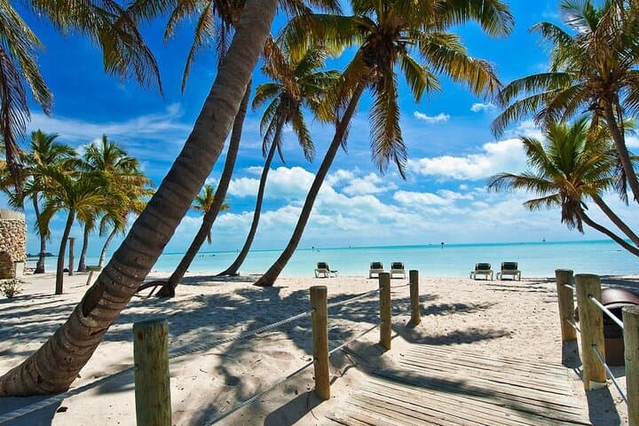 Explore Key West: Small Group Tour from Miami Across the Iconic Overseas Highway photo 6