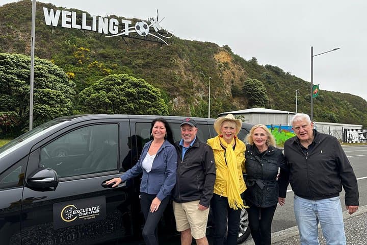Private Wellington Highlights Tour: Mt Victoria, Te Papa & Weta Cave photo 4
