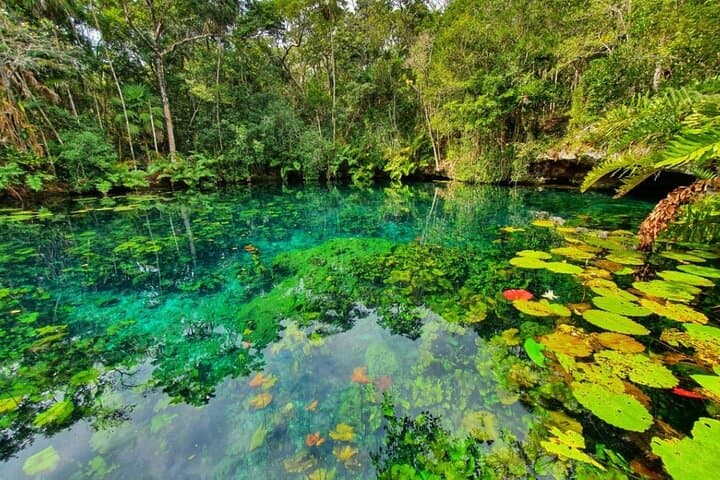Half-Day Tankah Jungle Adventure: Zip Lines, Cenotes & Canoe from Tulum photo 3