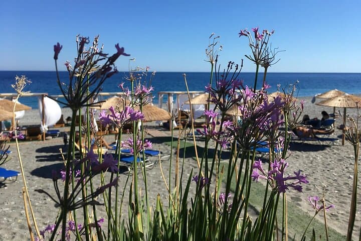 Day Trip to Crete's Pink Beaches: Elafonisi & Falassarna from Chania photo 3