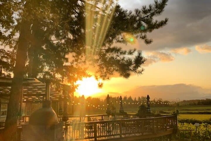 Heart of Willamette Winery Pass 2024 — Willamette Valley Wine Tasting Guide photo 3