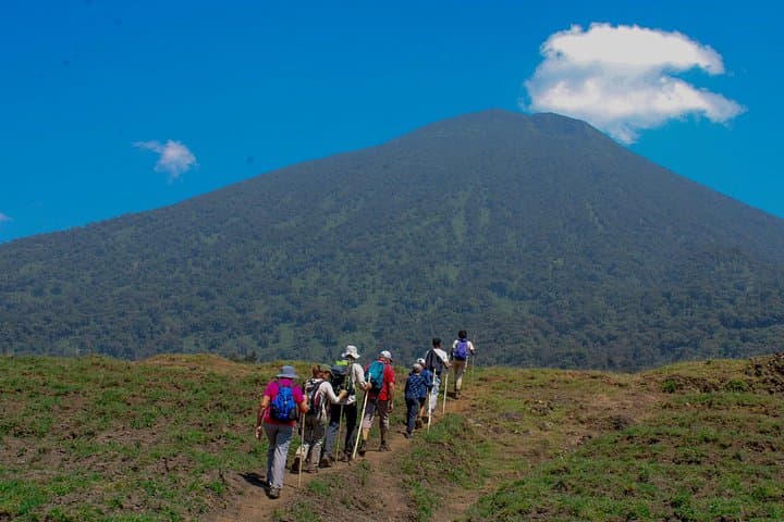 Scenic Volcano Walk from Musanze: Hike to the Foot of Mount Bisoke