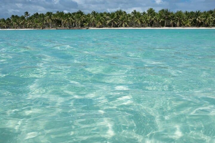 Full-Day Saona Island Excursion from Santo Domingo — Catamaran, Natural Pool & Beaches photo 3