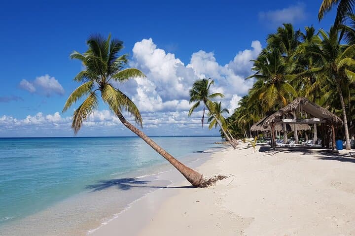 Full-Day Saona Island Excursion from Santo Domingo — Catamaran, Natural Pool & Beaches