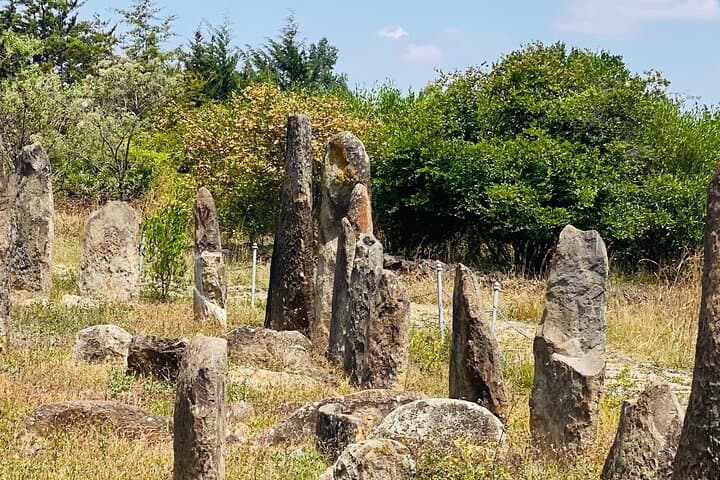 Adadi Mariam, Tiya & Melka Kunture Day Trip from Addis Ababa — Archaeology and Rock-Hewn Churches photo 4