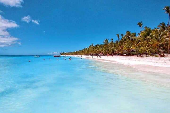 Full-Day Saona Island Excursion from Santo Domingo — Catamaran, Natural Pool & Beaches photo 6